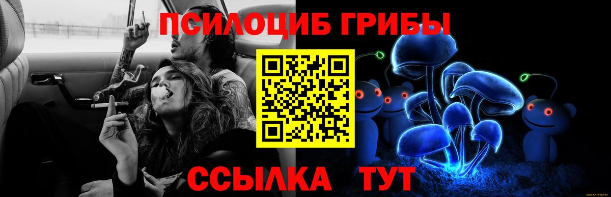 Псилоцибиновые грибы Cubensis  Псилоцибиновые грибы Psilocybe  Вход с VPN  купить   Великие Луки 